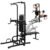 PROHIKER Power Tower Dip Station, Pull Up Bar Stand Power Rack with Detachable Weight Bench, Height Adjustable Strength Training Equipment for Fitness Home Workout, Black