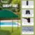 Tappio Portable 10x10 Pop Up Canopy Tent, Only 26 Lbs, Outdoor Instant Canopy Patio Gazebo Event Tent Shelter with 8 Stakes, 4 Ropes, 4 Sandbags and 1 Handbag for Camping Party Beach, Green